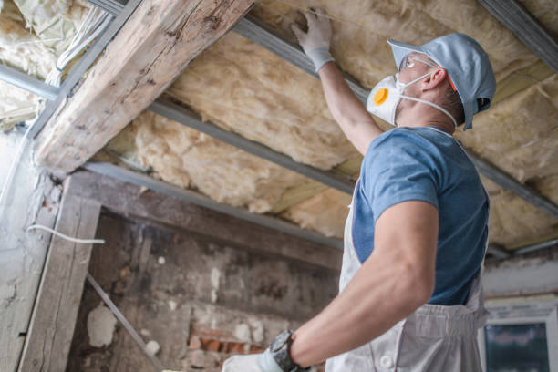 Insulation Replacement Services in Great Neck Plaza, NY