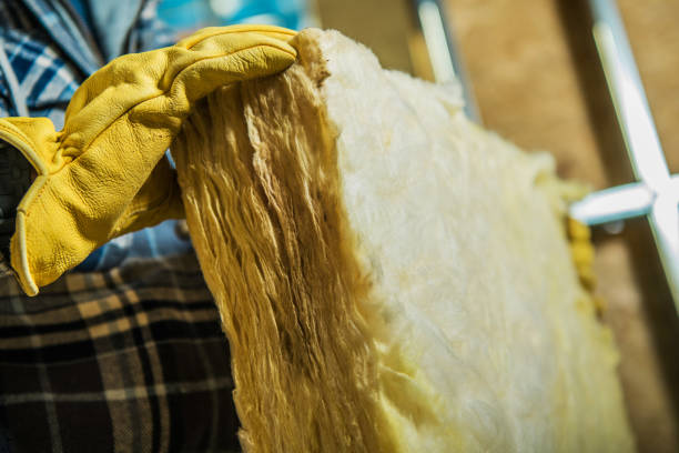 Best Cellulose Insulation  in Great Neck Plaza, NY