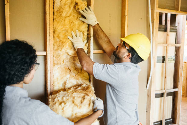 Best Best Insulation Companies  in Great Neck Plaza, NY