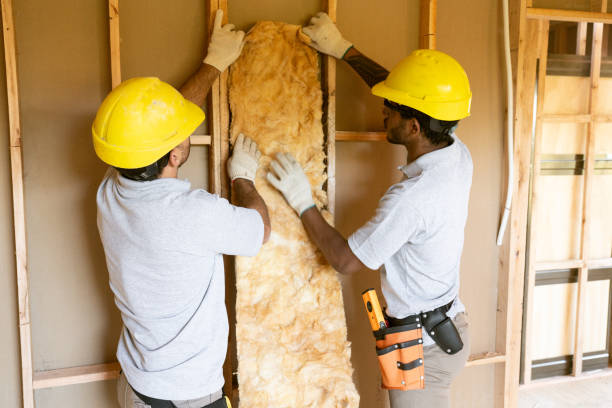 Best Insulation for New Construction  in Great Neck Plaza, NY