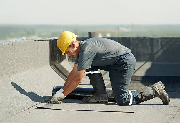 Best Insulation Contractor Near Me  in Great Neck Plaza, NY