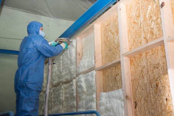 Best Insulation Replacement Services  in Great Neck Plaza, NY