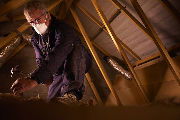 Best Garage Insulation Installation  in Great Neck Plaza, NY